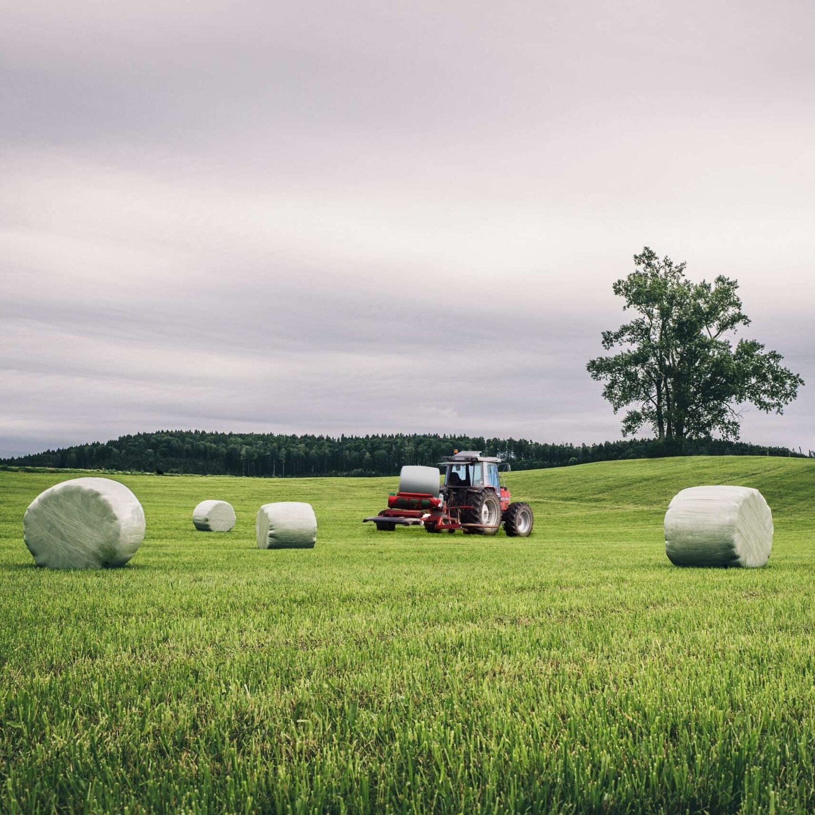 Unlocking the Secrets to Superior Fodder: The Science Behind Silage Films
