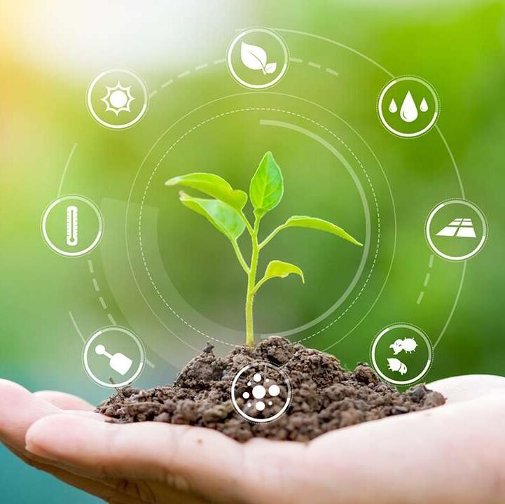 Revolutionizing Agriculture and Packaging: The Iris Green Product Line