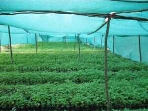 plastic-agro-shade-net