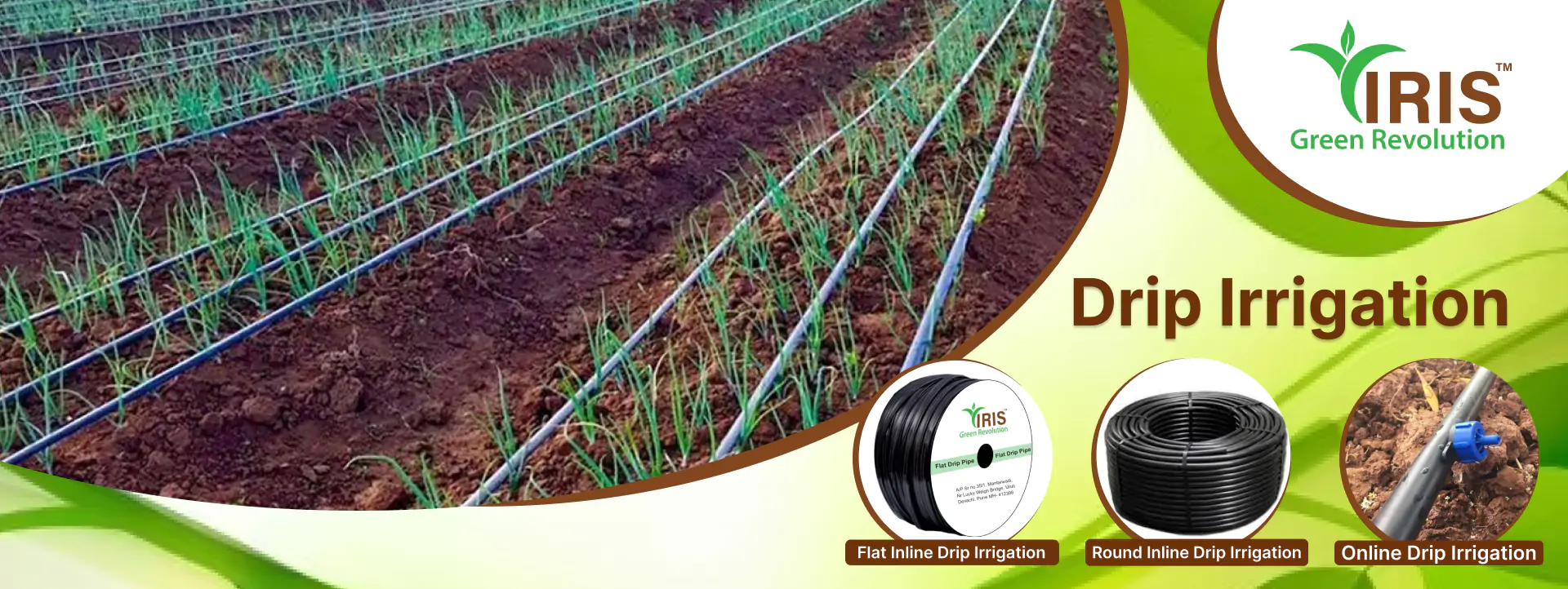 Drip Irrigation