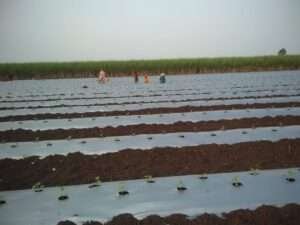 IMG-20240111-WA0090